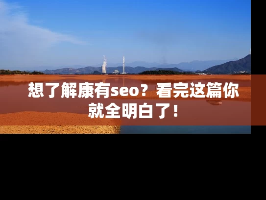 想了解康有seo？看完这篇你就全明白了！