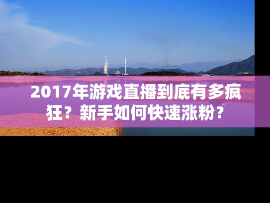 2017年游戏直播到底有多疯狂？新手如何快速涨粉？