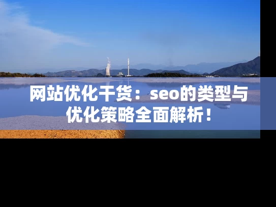 网站优化干货：seo的类型与优化策略全面解析！