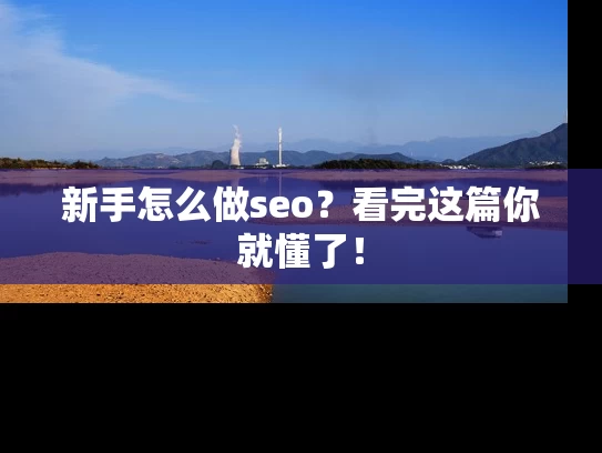 新手怎么做seo？看完这篇你就懂了！