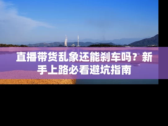 直播带货乱象还能刹车吗？新手上路必看避坑指南