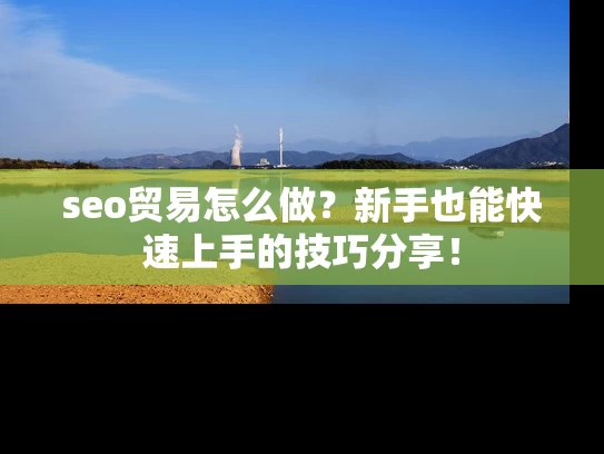 seo贸易怎么做？新手也能快速上手的技巧分享！