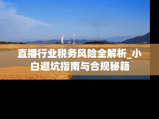 直播行业税务风险全解析_小白避坑指南与合规秘籍