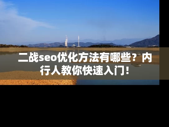 二战seo优化方法有哪些？内行人教你快速入门！