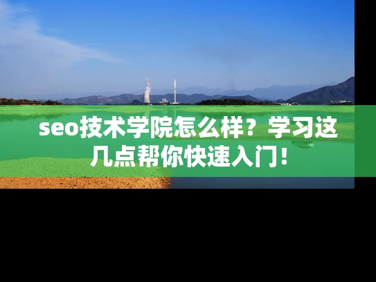 seo技术学院怎么样？学习这几点帮你快速入门！