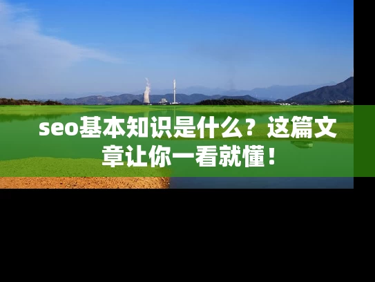 seo基本知识是什么？这篇文章让你一看就懂！