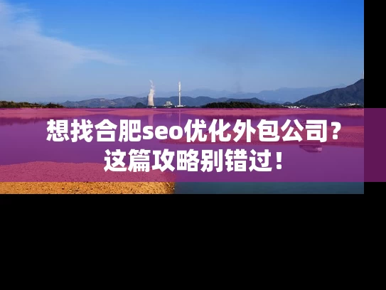 想找合肥seo优化外包公司？这篇攻略别错过！
