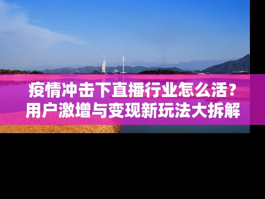 疫情冲击下直播行业怎么活？用户激增与变现新玩法大拆解