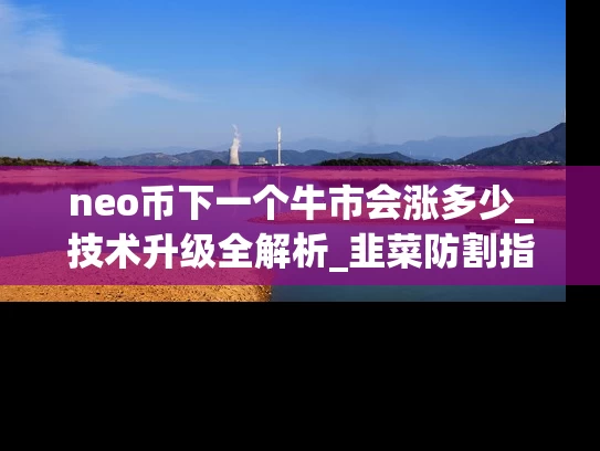 neo币下一个牛市会涨多少_技术升级全解析_韭菜防割指南