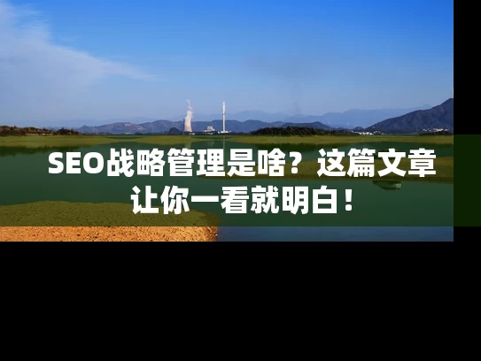 SEO战略管理是啥？这篇文章让你一看就明白！