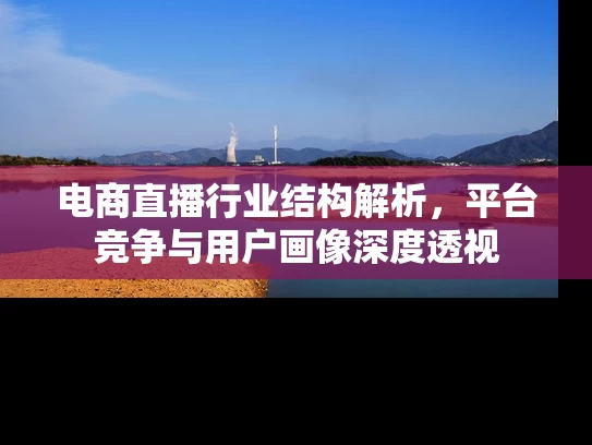 电商直播行业结构解析，平台竞争与用户画像深度透视