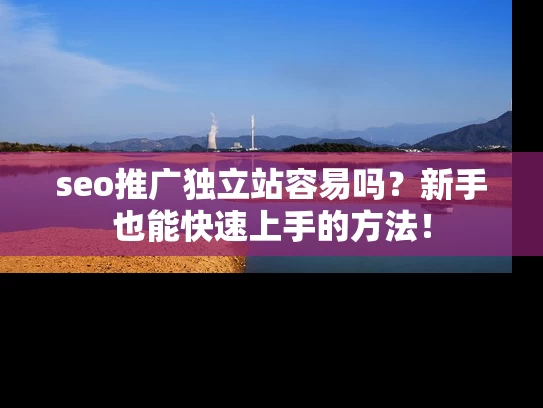 seo推广独立站容易吗？新手也能快速上手的方法！