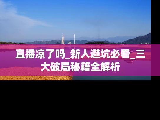 直播凉了吗_新人避坑必看_三大破局秘籍全解析