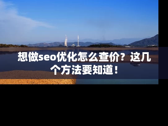 想做seo优化怎么查价？这几个方法要知道！