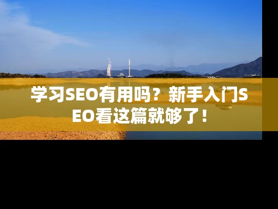 学习SEO有用吗？新手入门SEO看这篇就够了！