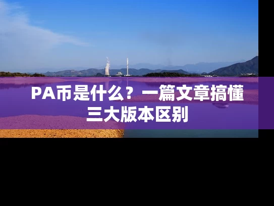 PA币是什么？一篇文章搞懂三大版本区别