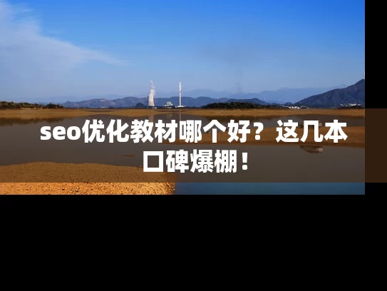 seo优化教材哪个好？这几本口碑爆棚！