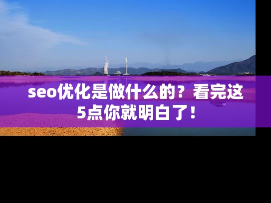 seo优化是做什么的？看完这5点你就明白了！