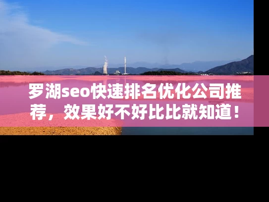 罗湖seo快速排名优化公司推荐，效果好不好比比就知道！