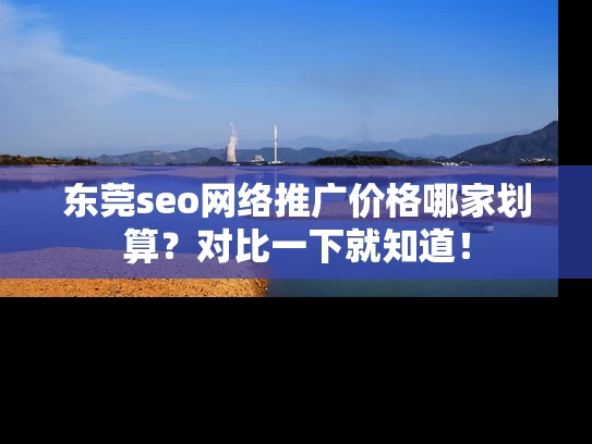 东莞seo网络推广价格哪家划算？对比一下就知道！