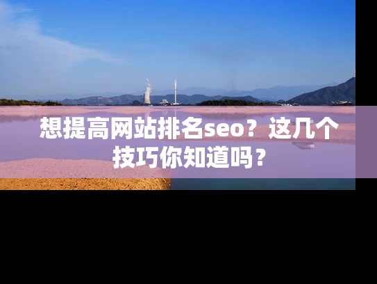 想提高网站排名seo？这几个技巧你知道吗？