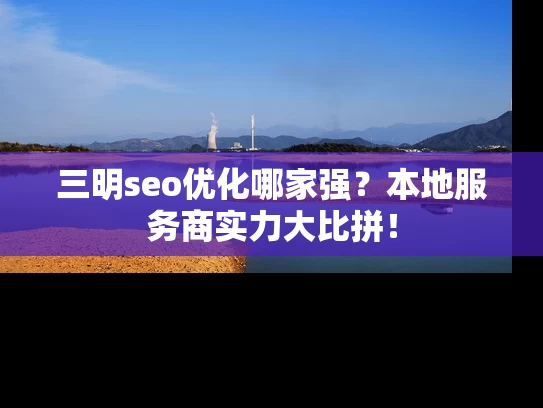 三明seo优化哪家强？本地服务商实力大比拼！