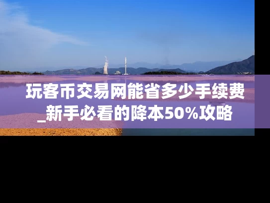 玩客币交易网能省多少手续费_新手必看的降本50%攻略