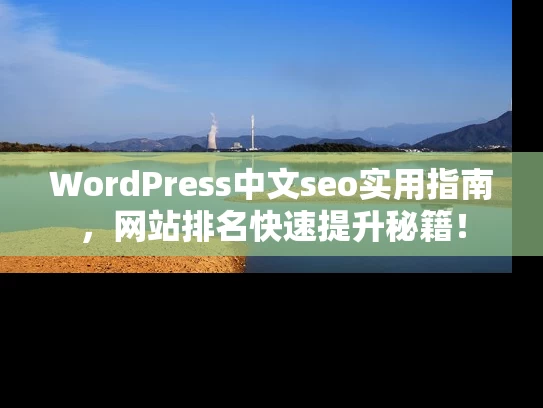 WordPress中文seo实用指南，网站排名快速提升秘籍！