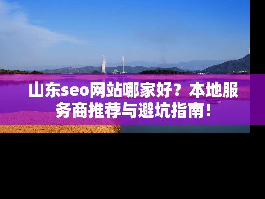山东seo网站哪家好？本地服务商推荐与避坑指南！