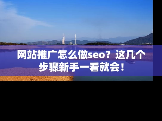 网站推广怎么做seo？这几个步骤新手一看就会！