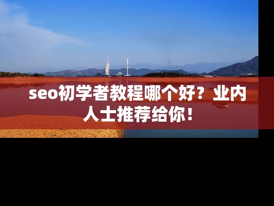 seo初学者教程哪个好？业内人士推荐给你！