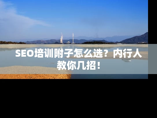 SEO培训附子怎么选？内行人教你几招！