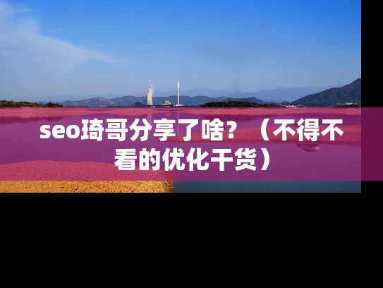 seo琦哥分享了啥？（不得不看的优化干货）