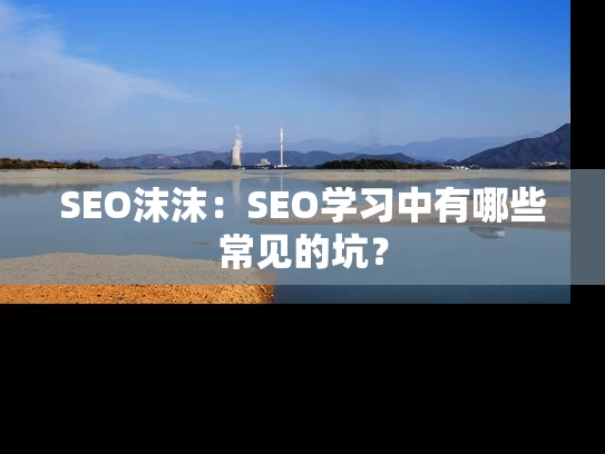 SEO沫沫：SEO学习中有哪些常见的坑？