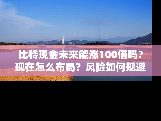 比特现金未来能涨100倍吗？现在怎么布局？风险如何规避？