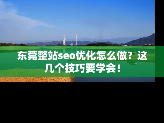 东莞整站seo优化怎么做？这几个技巧要学会！