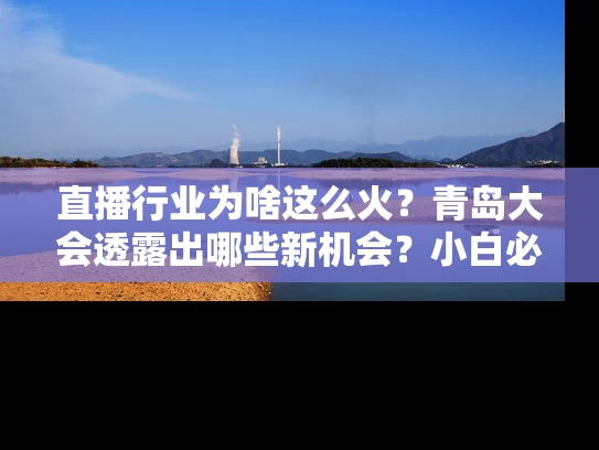 直播行业为啥这么火？青岛大会透露出哪些新机会？小白必看攻略！