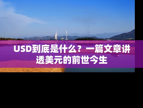 USD到底是什么？一篇文章讲透美元的前世今生