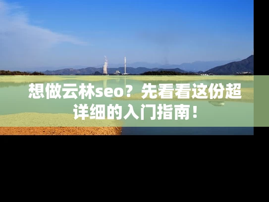 想做云林seo？先看看这份超详细的入门指南！