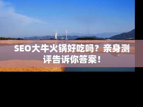 SEO大牛火锅好吃吗？亲身测评告诉你答案！