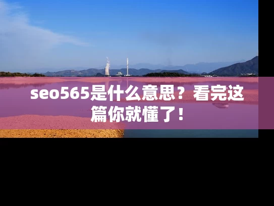 seo565是什么意思？看完这篇你就懂了！