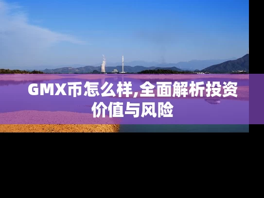 GMX币怎么样,全面解析投资价值与风险