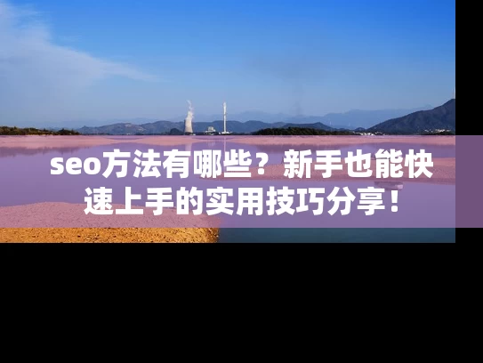 seo方法有哪些？新手也能快速上手的实用技巧分享！