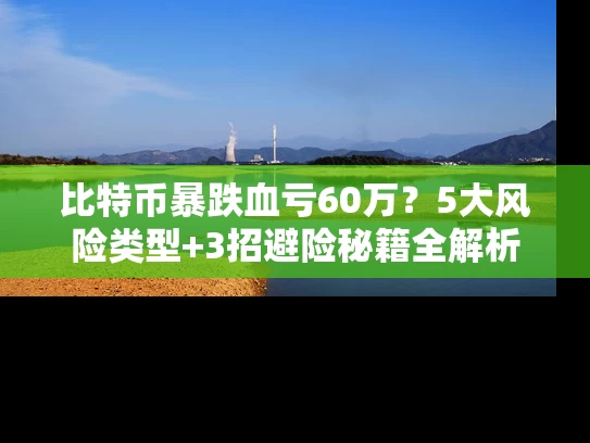比特币暴跌血亏60万？5大风险类型+3招避险秘籍全解析