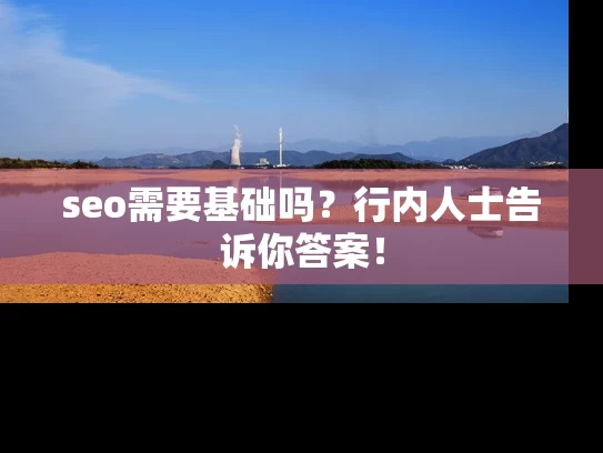 seo需要基础吗？行内人士告诉你答案！