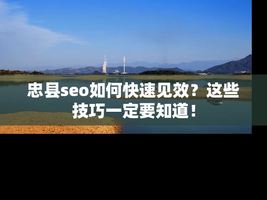 忠县seo如何快速见效？这些技巧一定要知道！