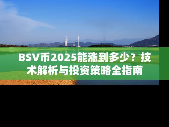 BSV币2025能涨到多少？技术解析与投资策略全指南