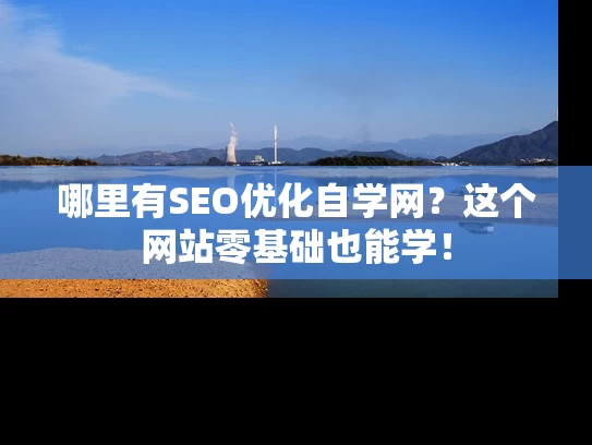 哪里有SEO优化自学网？这个网站零基础也能学！