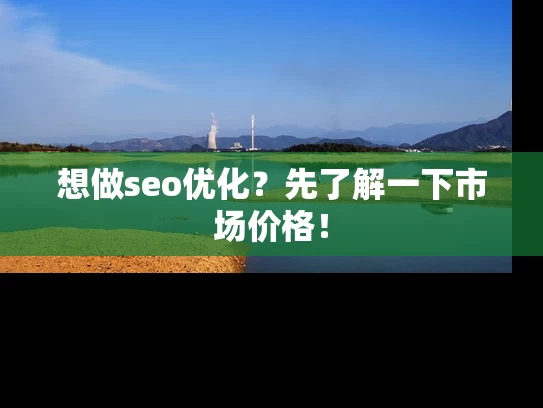 想做seo优化？先了解一下市场价格！