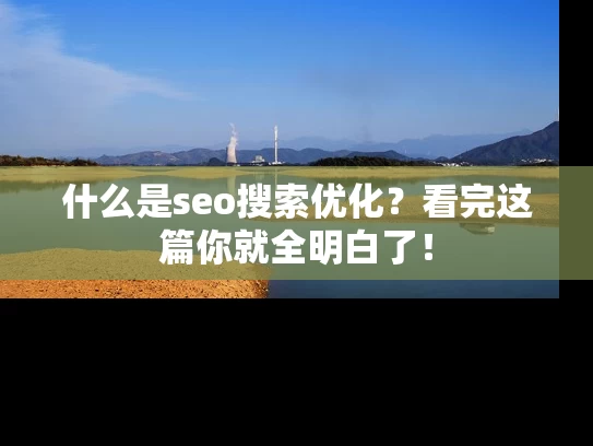 什么是seo搜索优化？看完这篇你就全明白了！